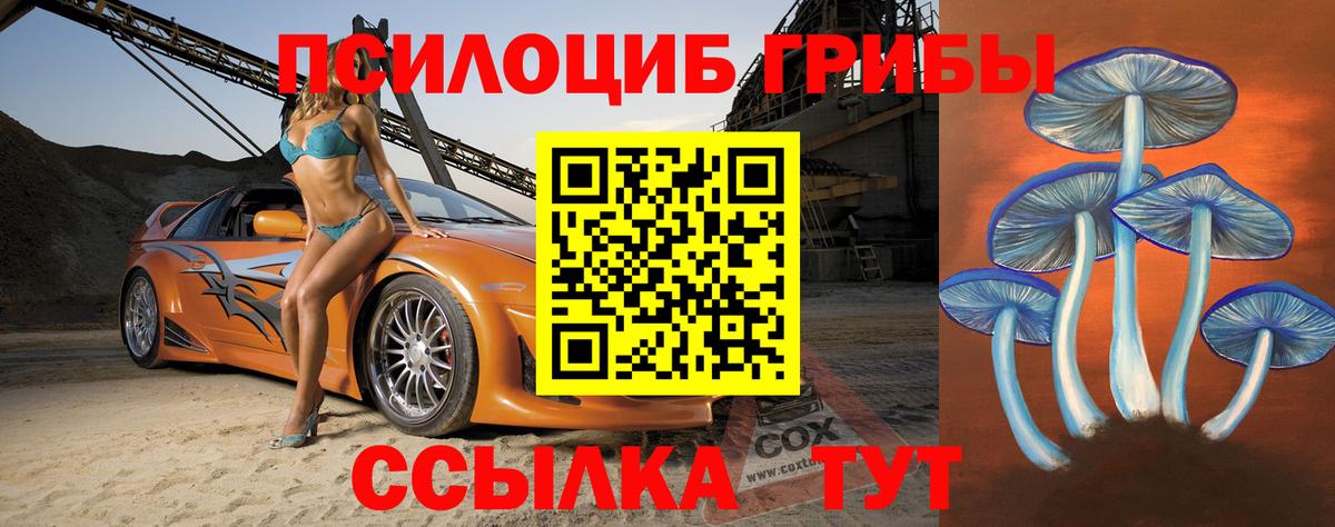 цены наркотик  Псилоцибиновые грибы Magic Shrooms  Вход с VPN  Моздок  Псилоцибиновые грибы MAGIC MUSHROOMS 
