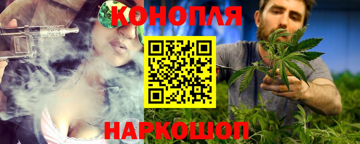 Бошки Шишки марихуана Моздок