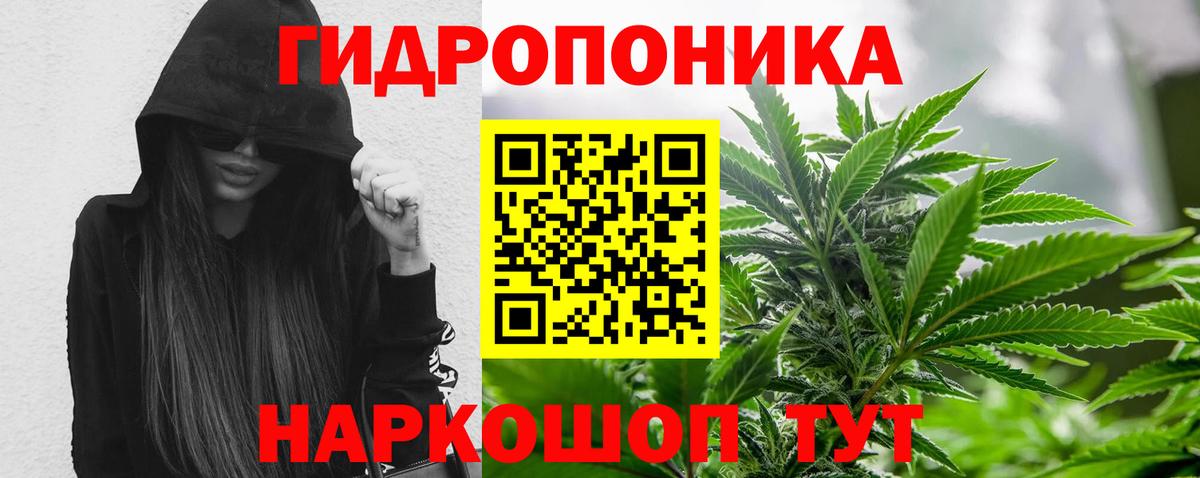 Бошки Шишки конопля  Каннабис марихуана  Моздок  Канабис MAZAR  Вход с VPN  МАРИХУАНА семена 